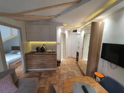 a small room with a kitchen and a living room at Vila Plan centar Kopaonik in Kopaonik