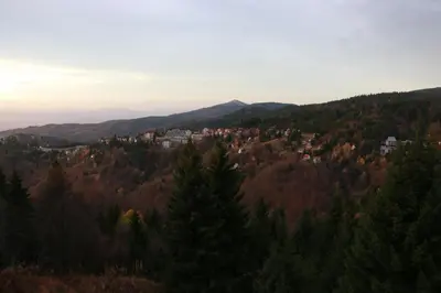 a town in the middle of a hill with trees at Vila Lucky Kop & Restoran in Kopaonik