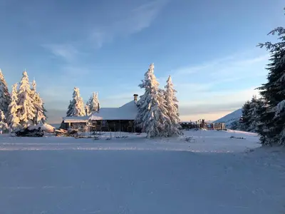 Gallery image of MiaKop in Kopaonik