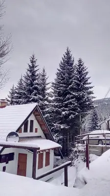 a house covered in snow with trees in the background at Sky 3 in Kopaonik