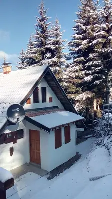 a house with snow on the roof and trees at Sky 3 in Kopaonik