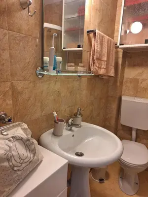 a bathroom with a white sink and a toilet at Vila Košuta - Kopaonik, Brzeće 30m from gondola in Brzeće