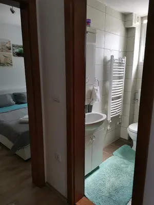 a small bathroom with a sink and a toilet at Apartman Beker Vrnjacka Banja in Vrnjačka Banja