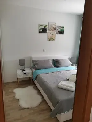 a bedroom with a bed and a white rug at Apartman Beker Vrnjacka Banja in Vrnjačka Banja