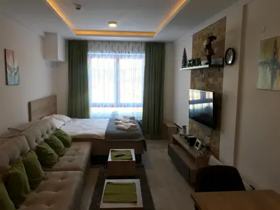 a bedroom with a bed and a couch and a television at Apartment Sunny Valley Milmari S-9 in Kopaonik