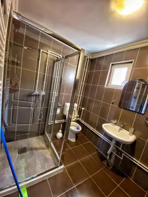 a bathroom with a shower and a sink and a toilet at Kuca za odmor ,,Balkan” in Crni Vrh