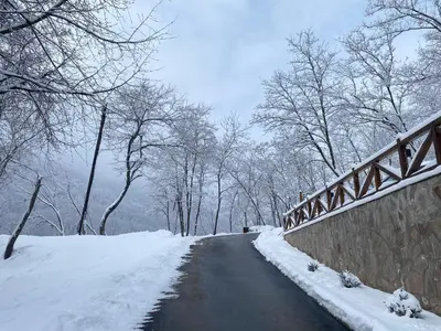 a snow covered road with a bridge and trees at Kuca za odmor ,,Balkan” in Crni Vrh