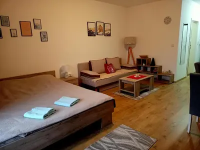 a living room with a bed and a couch at Anilux studio in Vrnjačka Banja