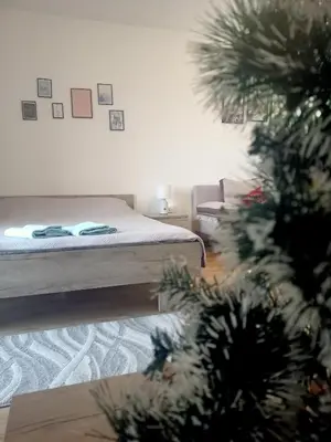 a living room with a bed and a christmas tree at Anilux studio in Vrnjačka Banja