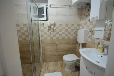 a bathroom with a shower and a toilet and a sink at Cvetkovic LUX Аpartmani & Free GARAŽA in Vrnjačka Banja