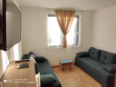 a living room with a couch and a tv at Vila Irina - Studio 11 lux in Kopaonik