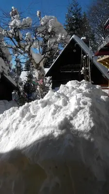 Gallery image of Apartmani Miletic Kopaonik in Kopaonik