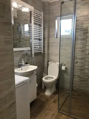 a bathroom with a toilet and a sink and a shower at Top Kop in Kopaonik
