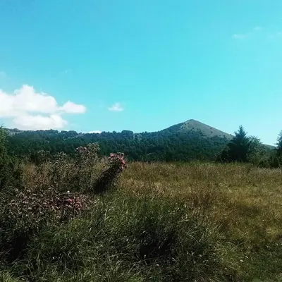 a field of grass with a mountain in the background at Iznad oblaka A1 in Kopaonik