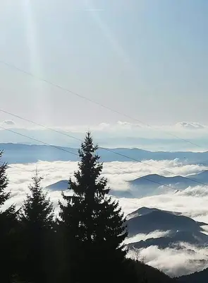 a group of trees on top of a mountain with clouds at Iznad oblaka A1 in Kopaonik