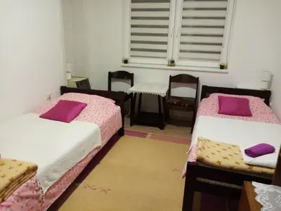 two beds in a room with purple pillows at Vila I in Niška Banja