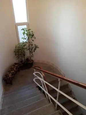 a staircase with two potted plants and a window at Vila I in Niška Banja