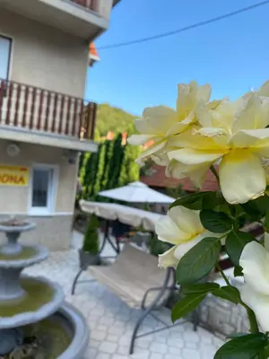 a plant with yellow flowers on a patio at Apartment 