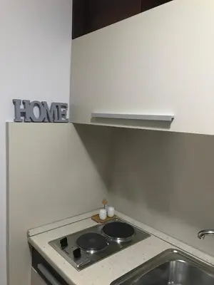a kitchen with a stove and a sink at Studio Mišel in Vrnjačka Banja