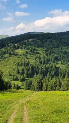 Gallery image of APARTMAN OLAF KOPAONIK in Kopaonik