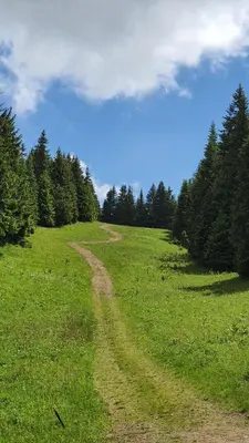 Gallery image of APARTMAN OLAF KOPAONIK in Kopaonik
