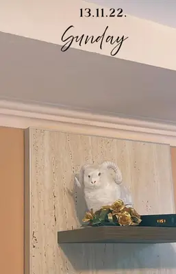a picture of a white cat sitting on a shelf at Apartman VR46 in Kopaonik
