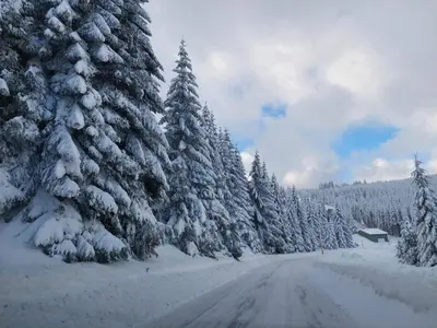 a snowy road with snow covered trees on the side at Apartman D&V Milmari Resort S10 in Kopaonik