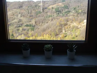 three potted plants sitting on a window sill at Panorama Apartman - Milmari L47 in Kopaonik
