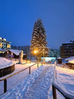 a snow covered park with a tree in the background at Milmari S30 in Kopaonik