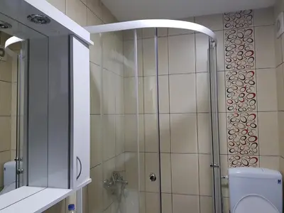 a bathroom with a shower with a toilet and a sink at Apartman Kala in Vrnjačka Banja