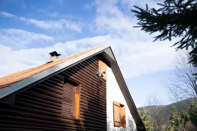 a roof of a house with two windows on it at Apartment Luka-Lena in Kopaonik