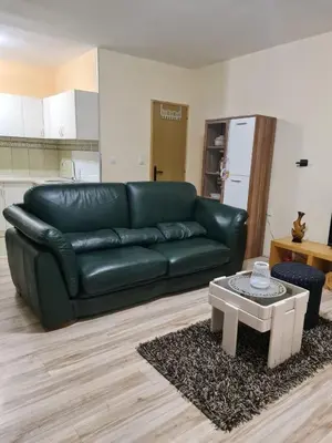 a green leather couch in a living room with a table at Apartment Luka-Lena in Kopaonik