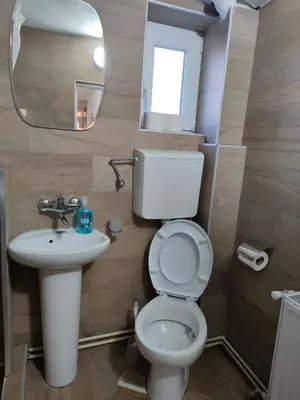 a bathroom with a toilet and a sink and a mirror at Lili apartman u parku in Vrnjačka Banja