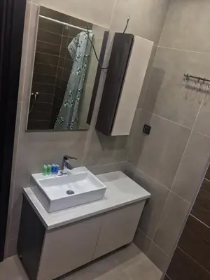 a bathroom with a sink and a mirror at Studio Milmari ,Premier 18 in Kopaonik