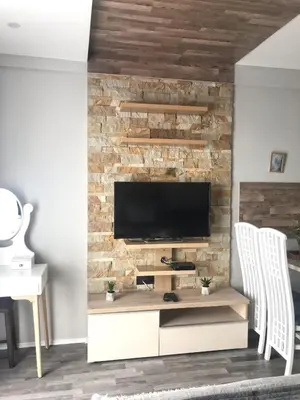 a living room with a tv on a brick wall at Studio Milmari ,Premier 18 in Kopaonik