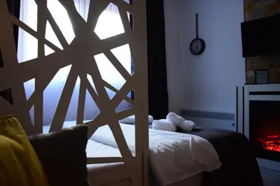 a bedroom with a sliding door with a bed and a fireplace at Apartman Suny N58 in Kopaonik