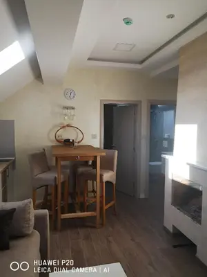 a living room with a table and chairs and a fireplace at KOPAONIK HOUSE in Kopaonik