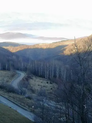 a road in the middle of a field with trees at APARTMAN BIKI in Kopaonik