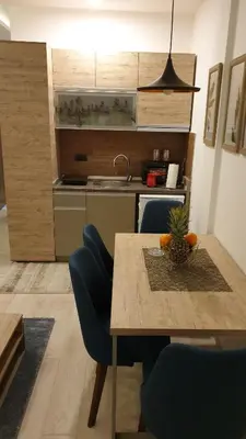 Gallery image of Apartman Milmari Vujic P23 and P26 in Kopaonik