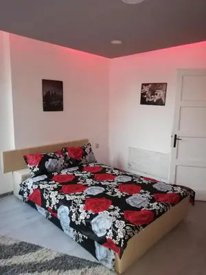 a bedroom with a bed with a black and red comforter at Andrina Sweet Home in Niš