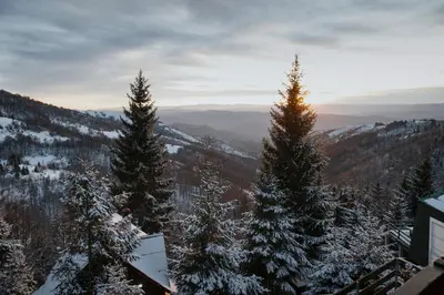 a view of snow covered trees on a mountain at Kostovac Boutique Homes - Loft in Kopaonik