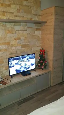 a living room with a television and a christmas tree at Milmari Premijer 30 Kopaonik in Kopaonik