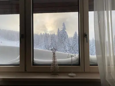 a window with a view of a snow covered forest at Teddy Apartman Kula Konaci in Kopaonik