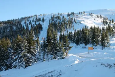 a snow covered mountain with trees and a sign at Sunčani breg in Kopaonik