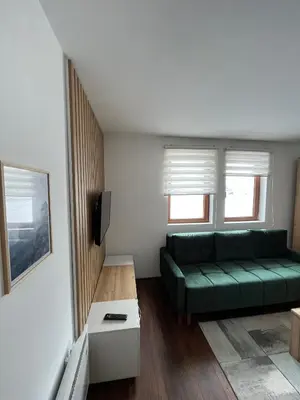 a living room with a green couch and two windows at Sunčani breg in Kopaonik