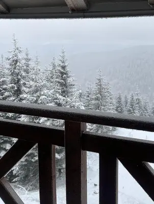 a view of a snow covered forest from a window at Sunčani breg in Kopaonik