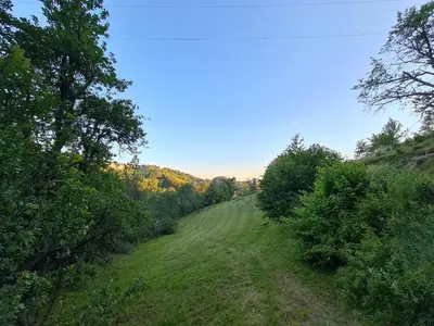 a field with trees on the side of a hill at Starloft Kopaonik in Kopaonik