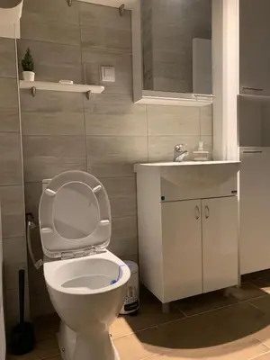 a bathroom with a white toilet and a sink at G&D Apartment Kopaonik in Kopaonik