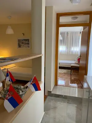 a kitchen with a view of a living room at Apartmani Jelica FREE PARKING in Vranje