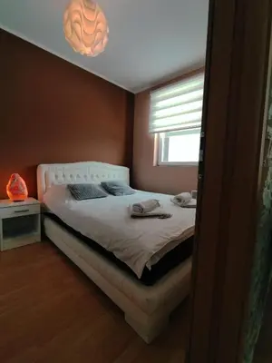 a bedroom with a bed and a window at Apartman Teodora in Kopaonik